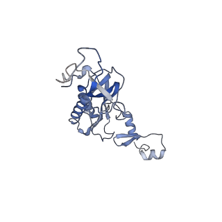 4753_6r87_s_v1-2
Yeast Vms1 (Q295L)-60S ribosomal subunit complex (pre-state without Arb1)