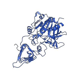 4754_6r8b_A_v1-1
Escherichia coli AGPase in complex with FBP.