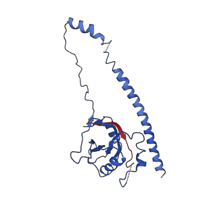4759_6r8f_B_v1-3
Cryo-EM structure of the Human BRISC-SHMT2 complex