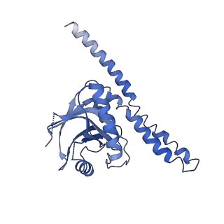 4759_6r8f_C_v1-3
Cryo-EM structure of the Human BRISC-SHMT2 complex