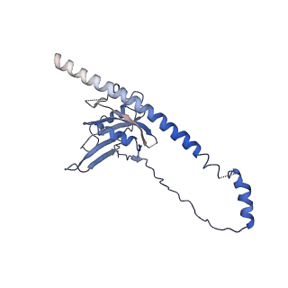 4759_6r8f_D_v1-3
Cryo-EM structure of the Human BRISC-SHMT2 complex