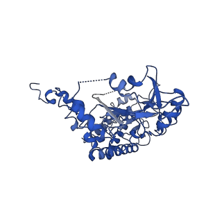 4759_6r8f_K_v1-3
Cryo-EM structure of the Human BRISC-SHMT2 complex