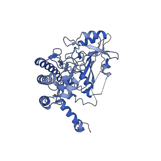 4759_6r8f_L_v1-3
Cryo-EM structure of the Human BRISC-SHMT2 complex