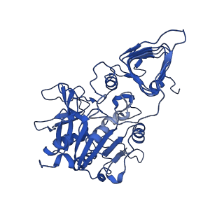 4761_6r8u_A_v1-0
Escherichia coli AGPase in complex with AMP.