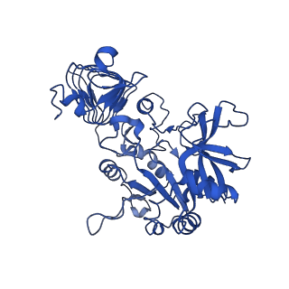 4761_6r8u_B_v1-0
Escherichia coli AGPase in complex with AMP.