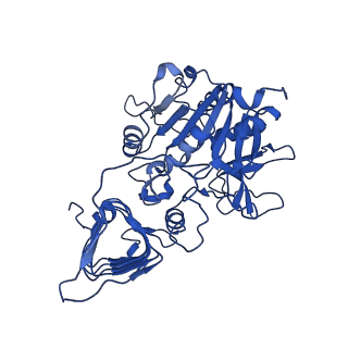 4761_6r8u_C_v1-0
Escherichia coli AGPase in complex with AMP.