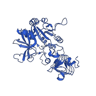 4761_6r8u_D_v1-0
Escherichia coli AGPase in complex with AMP.
