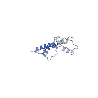 4762_6r8y_G_v1-3
Cryo-EM structure of NCP-6-4PP(-1)-UV-DDB
