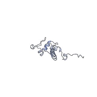 4763_6r8z_C_v1-3
Cryo-EM structure of NCP_THF2(-1)-UV-DDB