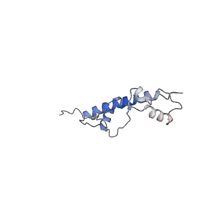 4763_6r8z_G_v1-3
Cryo-EM structure of NCP_THF2(-1)-UV-DDB