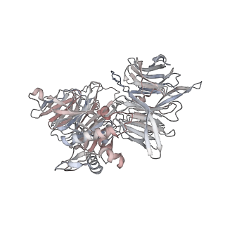 4763_6r8z_K_v1-3
Cryo-EM structure of NCP_THF2(-1)-UV-DDB