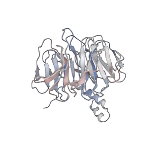 4763_6r8z_L_v1-3
Cryo-EM structure of NCP_THF2(-1)-UV-DDB