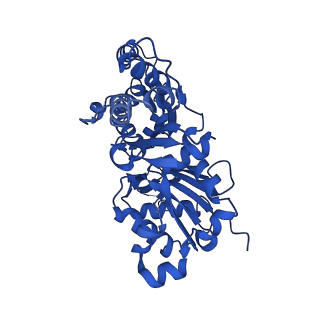 24322_7r91_A_v1-1
cryo-EM structure of the rigor state wild type myosin-15-F-actin complex