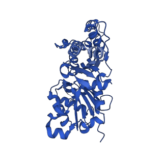 24322_7r91_B_v1-1
cryo-EM structure of the rigor state wild type myosin-15-F-actin complex