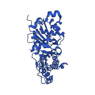 24322_7r91_C_v1-1
cryo-EM structure of the rigor state wild type myosin-15-F-actin complex