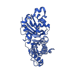 24323_7r94_A_v1-2
T-Plastin-F-actin complex