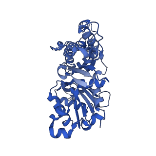 24323_7r94_B_v1-2
T-Plastin-F-actin complex