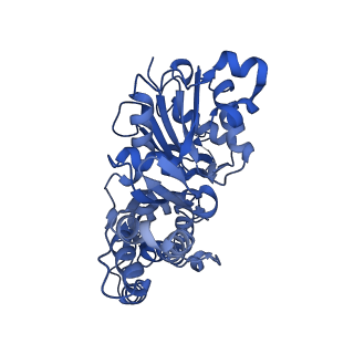 24323_7r94_C_v1-2
T-Plastin-F-actin complex