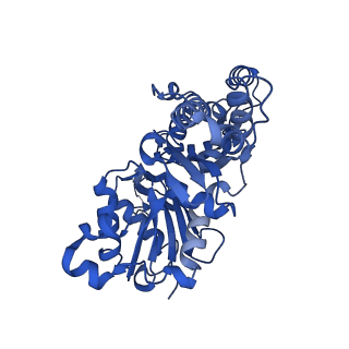 24323_7r94_D_v1-2
T-Plastin-F-actin complex