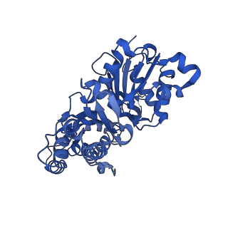 24323_7r94_E_v1-2
T-Plastin-F-actin complex