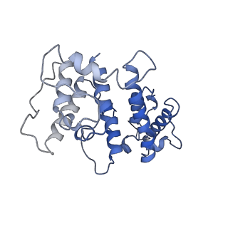 24323_7r94_F_v1-2
T-Plastin-F-actin complex