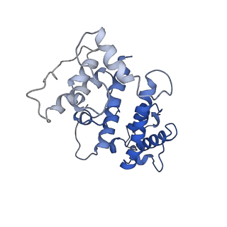 24323_7r94_G_v1-2
T-Plastin-F-actin complex