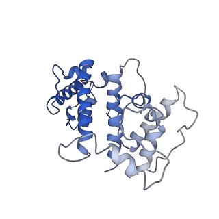 24323_7r94_H_v1-2
T-Plastin-F-actin complex