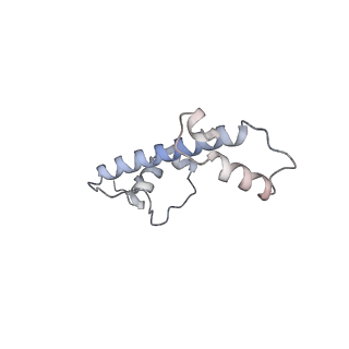 4764_6r90_G_v1-2
Cryo-EM structure of NCP-THF2(+1)-UV-DDB class A