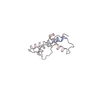 4765_6r91_G_v1-3
Cryo-EM structure of NCP_THF2(-3)-UV-DDB