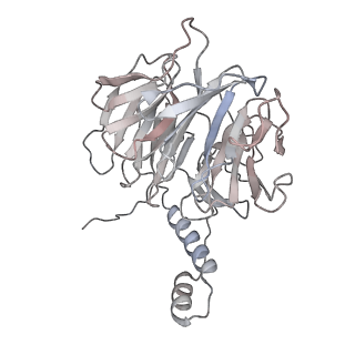 4765_6r91_L_v1-3
Cryo-EM structure of NCP_THF2(-3)-UV-DDB