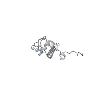 4766_6r92_C_v1-3
Cryo-EM structure of NCP-THF2(+1)-UV-DDB class B