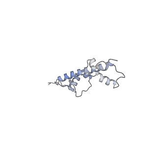 4766_6r92_G_v1-3
Cryo-EM structure of NCP-THF2(+1)-UV-DDB class B