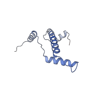 4767_6r93_A_v1-3
Cryo-EM structure of NCP-6-4PP