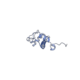 4767_6r93_C_v1-3
Cryo-EM structure of NCP-6-4PP