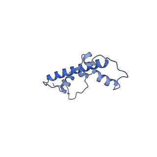 4767_6r93_G_v1-3
Cryo-EM structure of NCP-6-4PP