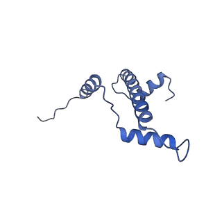 4768_6r94_A_v1-3
Cryo-EM structure of NCP_THF2(-3)