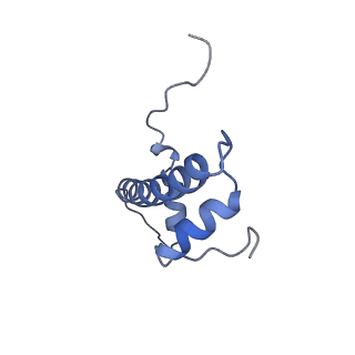 4768_6r94_F_v1-3
Cryo-EM structure of NCP_THF2(-3)