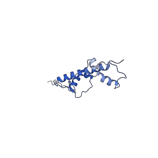 4768_6r94_G_v1-3
Cryo-EM structure of NCP_THF2(-3)