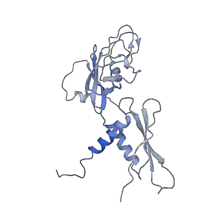 4769_6r9b_A_v1-0
Cryo-EM structure of bacterial RNAP with a DNA mimic protein Ocr from T7 phage
