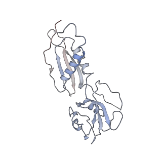 4769_6r9b_B_v1-0
Cryo-EM structure of bacterial RNAP with a DNA mimic protein Ocr from T7 phage