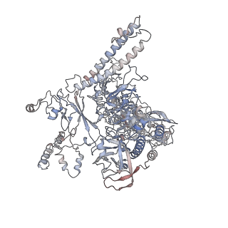 4769_6r9b_C_v1-0
Cryo-EM structure of bacterial RNAP with a DNA mimic protein Ocr from T7 phage