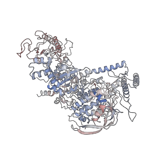 4769_6r9b_D_v1-0
Cryo-EM structure of bacterial RNAP with a DNA mimic protein Ocr from T7 phage