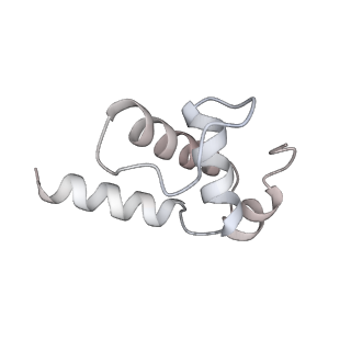 4769_6r9b_E_v1-0
Cryo-EM structure of bacterial RNAP with a DNA mimic protein Ocr from T7 phage
