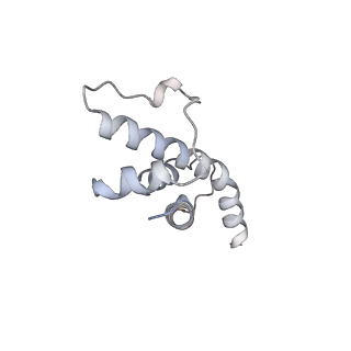 4769_6r9b_G_v1-0
Cryo-EM structure of bacterial RNAP with a DNA mimic protein Ocr from T7 phage