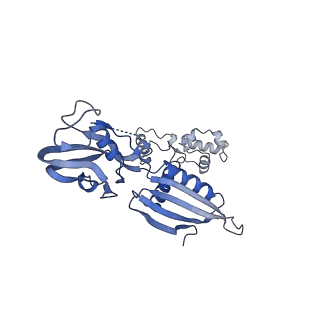 19023_8ras_A_v1-1
Plastid-encoded RNA polymerase transcription elongation complex