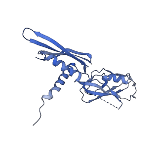 19023_8ras_B_v1-1
Plastid-encoded RNA polymerase transcription elongation complex