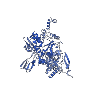 19023_8ras_C_v1-1
Plastid-encoded RNA polymerase transcription elongation complex