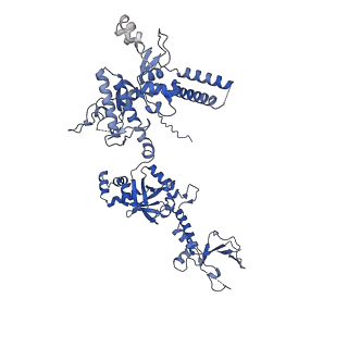 19023_8ras_D_v1-1
Plastid-encoded RNA polymerase transcription elongation complex