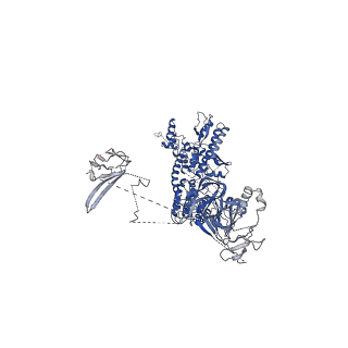 19023_8ras_E_v1-1
Plastid-encoded RNA polymerase transcription elongation complex