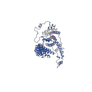 19023_8ras_F_v1-1
Plastid-encoded RNA polymerase transcription elongation complex